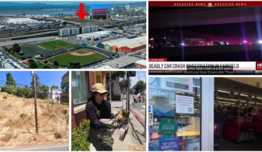 July 1-15, 2026 Emeryville Newswire: Grocery Outlet Privacy Debate, Injured Hawk & I-80 Fatality • The E'ville Eye News
