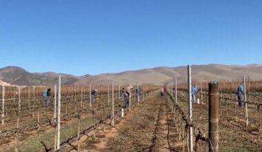 A new survey on farmworkers and immigration enforcement