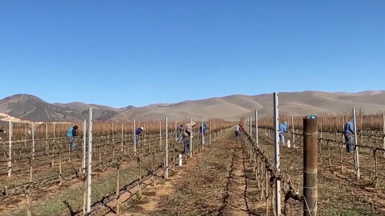 A new survey on farmworkers and immigration enforcement