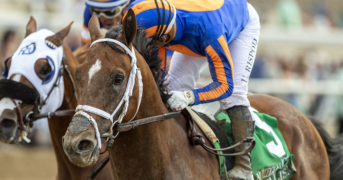 Journalism overcomes horrendous start to win San Diego