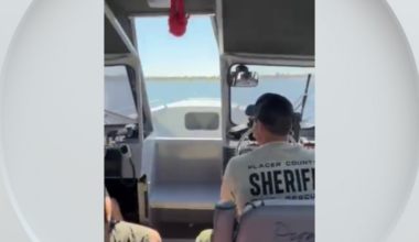 Roseville police track hit-and-run suspect from Walmart to Folsom Lake