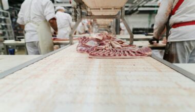 Court narrows meat industry lawsuit over California's animal welfare law 