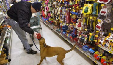 PetSmart is closing its only San Francisco store – here's when