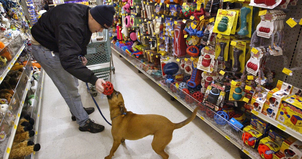 PetSmart is closing its only San Francisco store – here's when