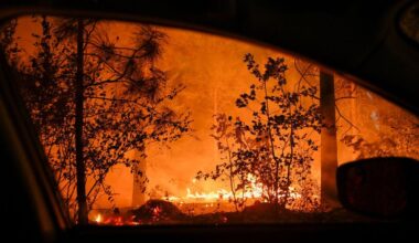 Man found guilty of starting 2024 Park Fire, one of California's largest wildfires on record