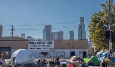 Los Angeles homeless population increases for first time in two years