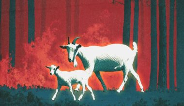 Wage law for California goat herders could worsen wildfire crisis