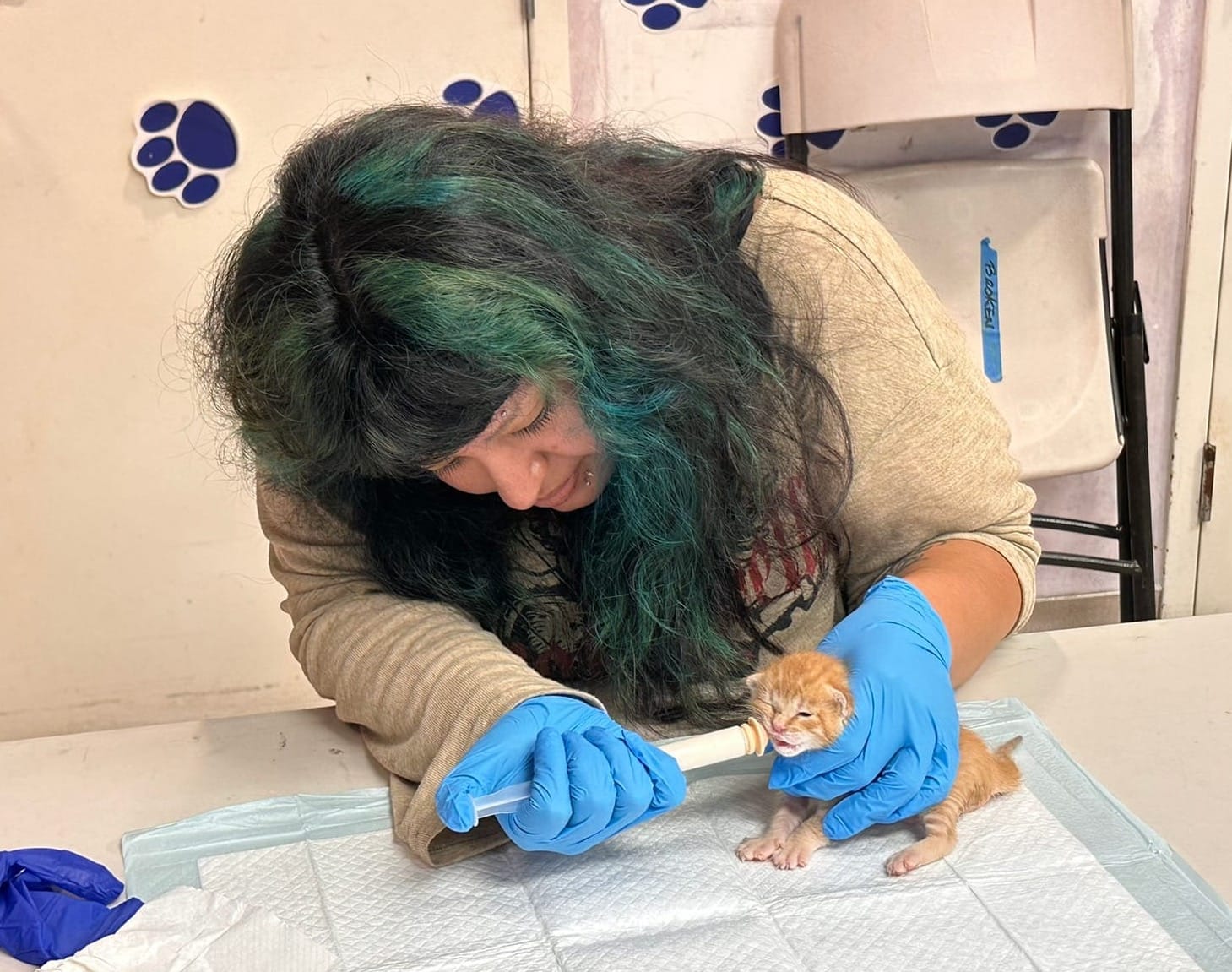 A woman feeds a tiny orange kitten with a large white syringe.