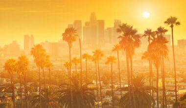 How This L.A. Neighborhood Is Combating Intense Heatwaves