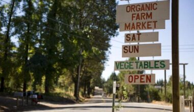 Apple Hill during summer: Fresh pizza, live music, wines