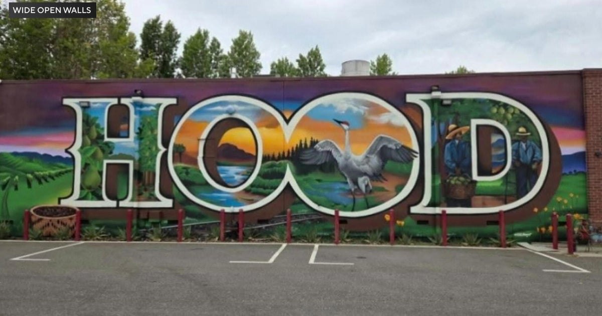 Sacramento River Delta mural trail launches with new artwork in Hood