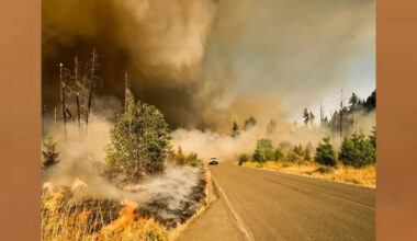 This California Volunteer Team Drives Into Wildfires to Rescue Horses, Livestock, and Exotic Animals