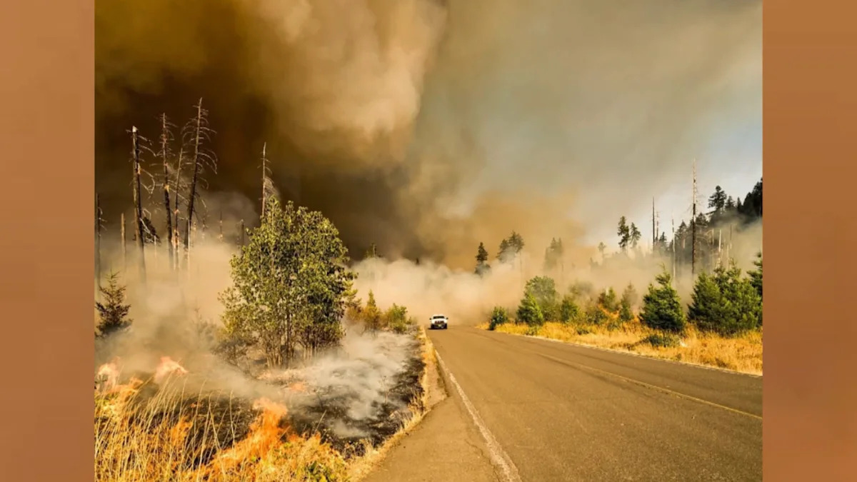 This California Volunteer Team Drives Into Wildfires to Rescue Horses, Livestock, and Exotic Animals