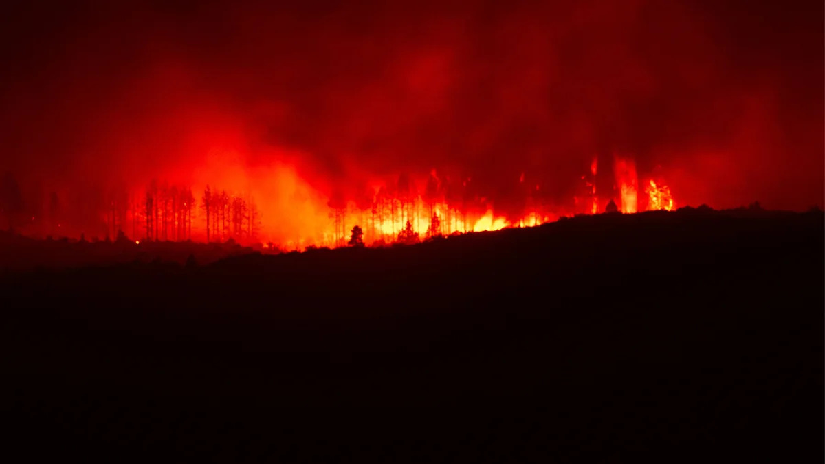Wildfire Risk Drives an 84% Jump in California Home Insurance Premiums Since 2020, Stanford Finds
