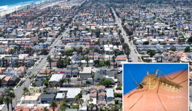 Urgent warning as brain-swelling disease surges in multiple Southern California neighborhoods