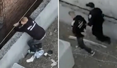 Cruel kitten torture suspect released under California law now on run after skipping court appearance