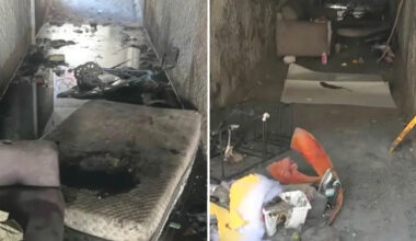 Subterranean homeless city discovered in tunnels under Los Angeles