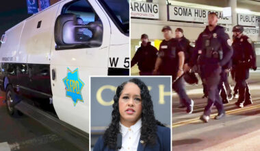 Illegal ‘Stud Alley’ Pride party descends into orgy of vandalism as California prosecutors charge 18