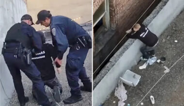 Reno man charged in gruesome kitten killing after San Francisco rooftop arrest