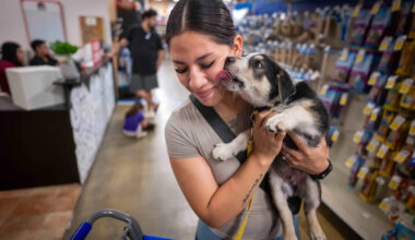 PetSmart to close only outpost in San Francisco