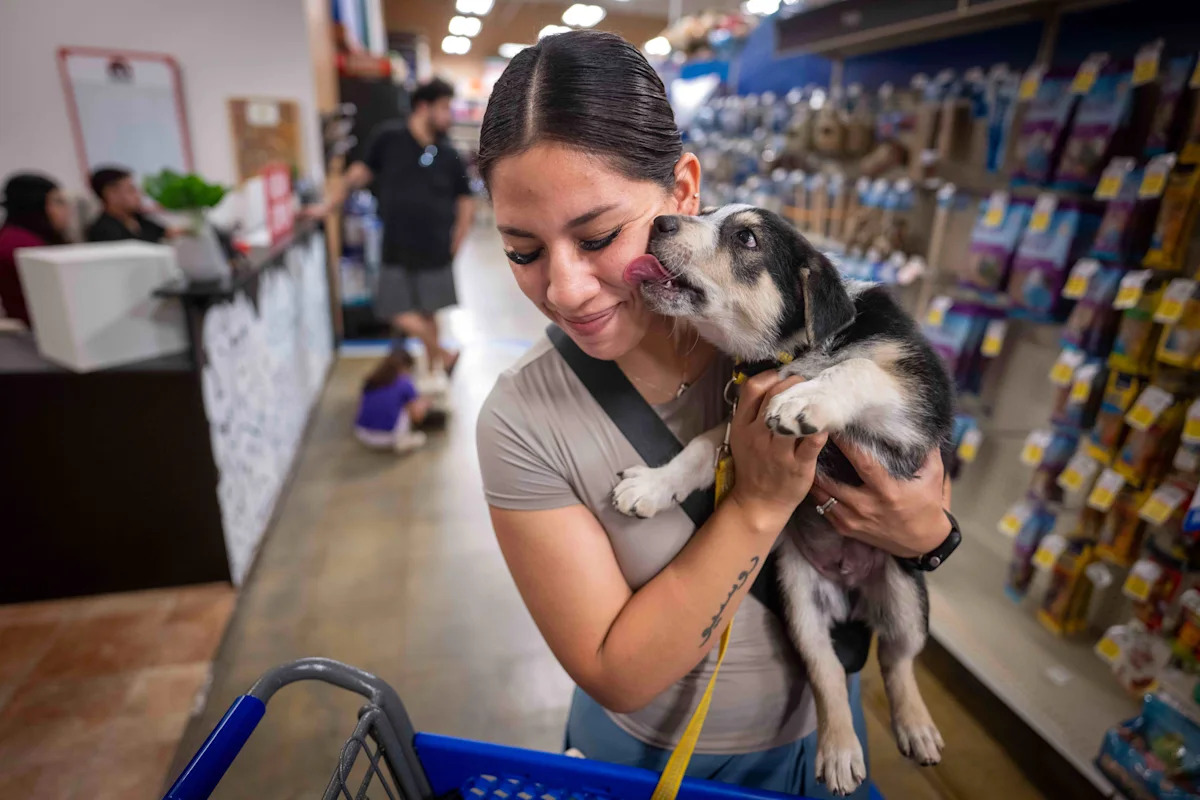 PetSmart to close only outpost in San Francisco