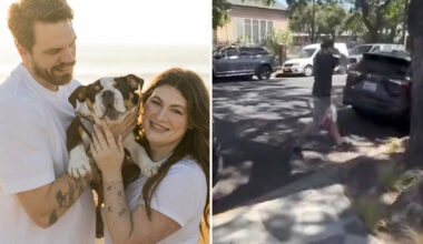 Disgusting moment ‘Disneyland for Dogs’ hands California couple their beloved puppy back in a plastic tub