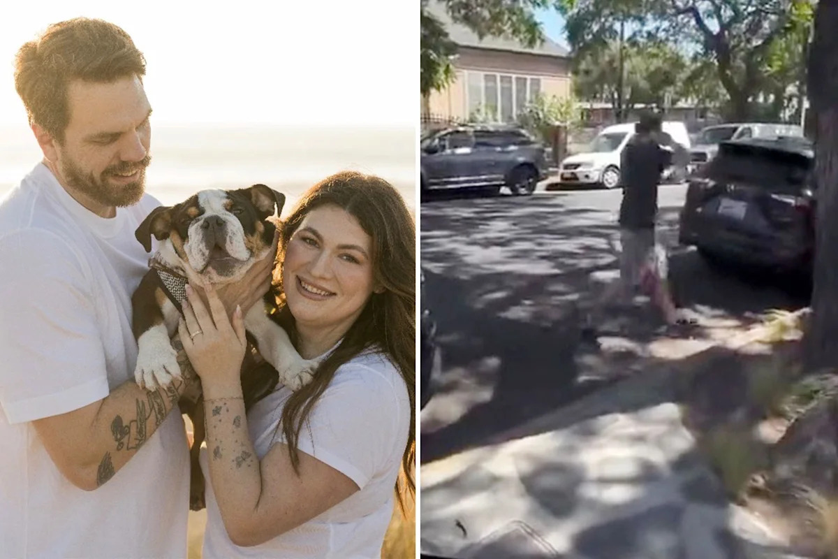 Disgusting moment ‘Disneyland for Dogs’ hands California couple their beloved puppy back in a plastic tub