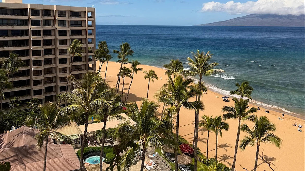 California family members claim they were attacked at luxury Maui resort during violent melee