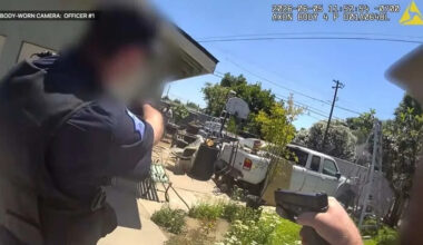 Video shows deadly standoff between Fresno police and armed man in backyard