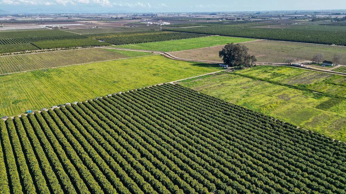 Mega, controversial — and now revised — Fresno growth plan back for city planning