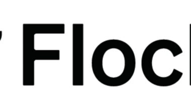 Flock LPR Helps San Francisco Investigators Identify and Arrest Murder Suspect