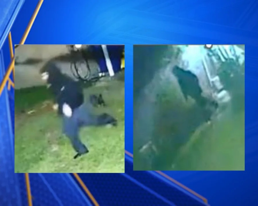 Bakersfield police search for suspects involved in Antonia Way shooting investigation