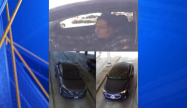 Bakersfield PD seeks public’s help identifying suspect in Panama Lane grand theft