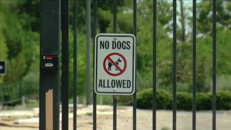 California City leaders to discuss stray animal issues, seek members for vicious dog review board