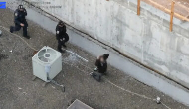 Alleged kitten killer arrested in San Francisco