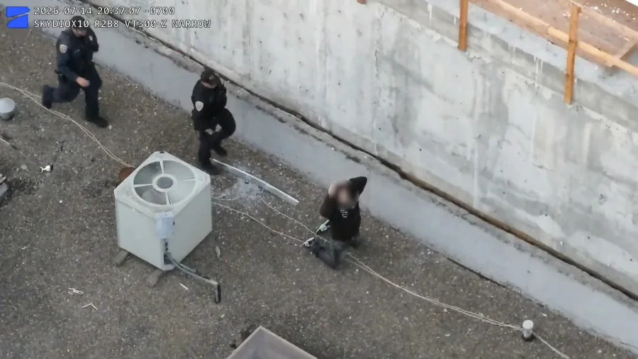 Alleged kitten killer arrested in San Francisco