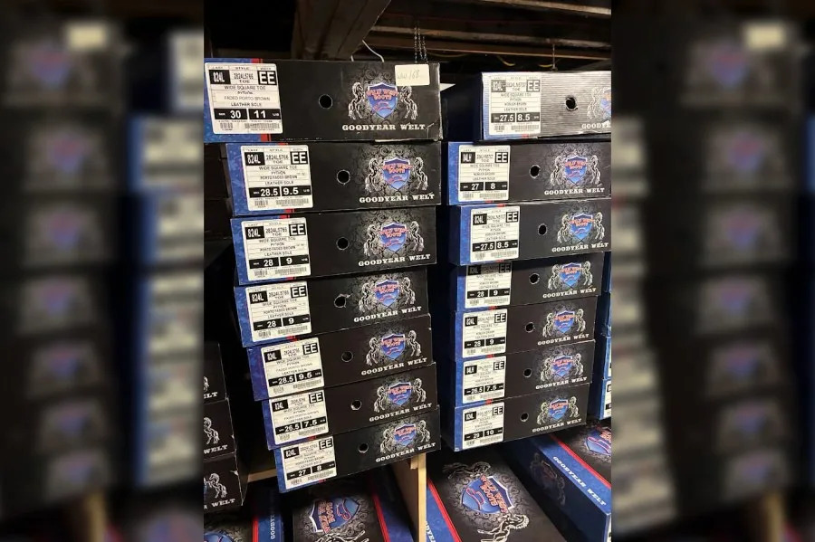 Police seize dozens of illegal snakeskin boots from California store