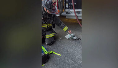 Oakland firefighters honored for saving pigeon that suffered smoke inhalation