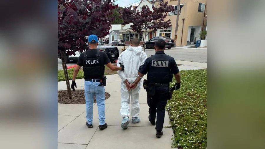 Elderly woman stabbed to death by man, 19, at mall in California