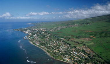 California family says they were violently attacked at Maui resort