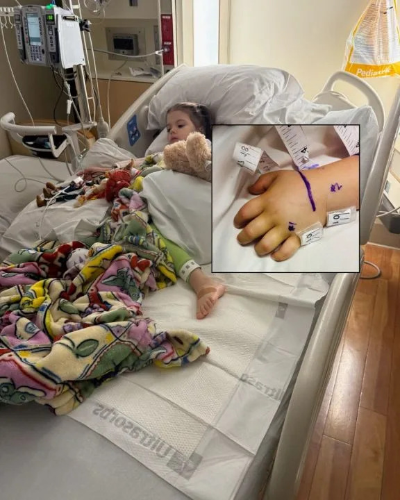 Southern California girl, 3, bitten by rattlesnake hiding under Amazon package