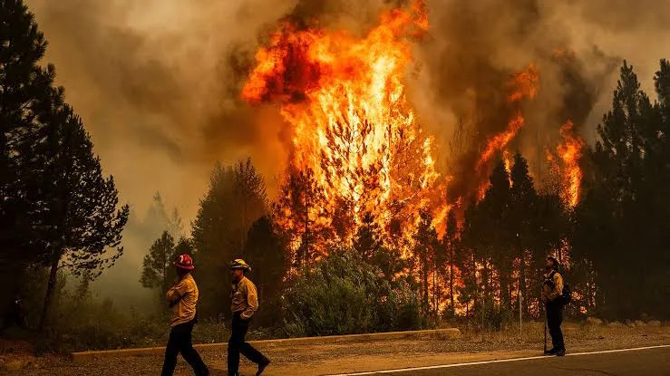 Man found guilty of starting Park Fire, the 4th-largest wildfire in California history