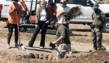 California rescue investigation sparks questions about oversight of animal rescues