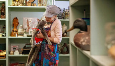 One-eyed rescue cat with Long Beach cult following celebrates 15th birthday in style