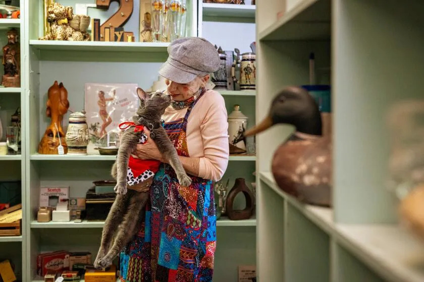 One-eyed rescue cat with Long Beach cult following celebrates 15th birthday in style