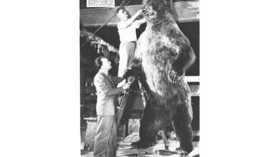 Museum Curators from Los Angeles Shot the Biggest Bear in the World