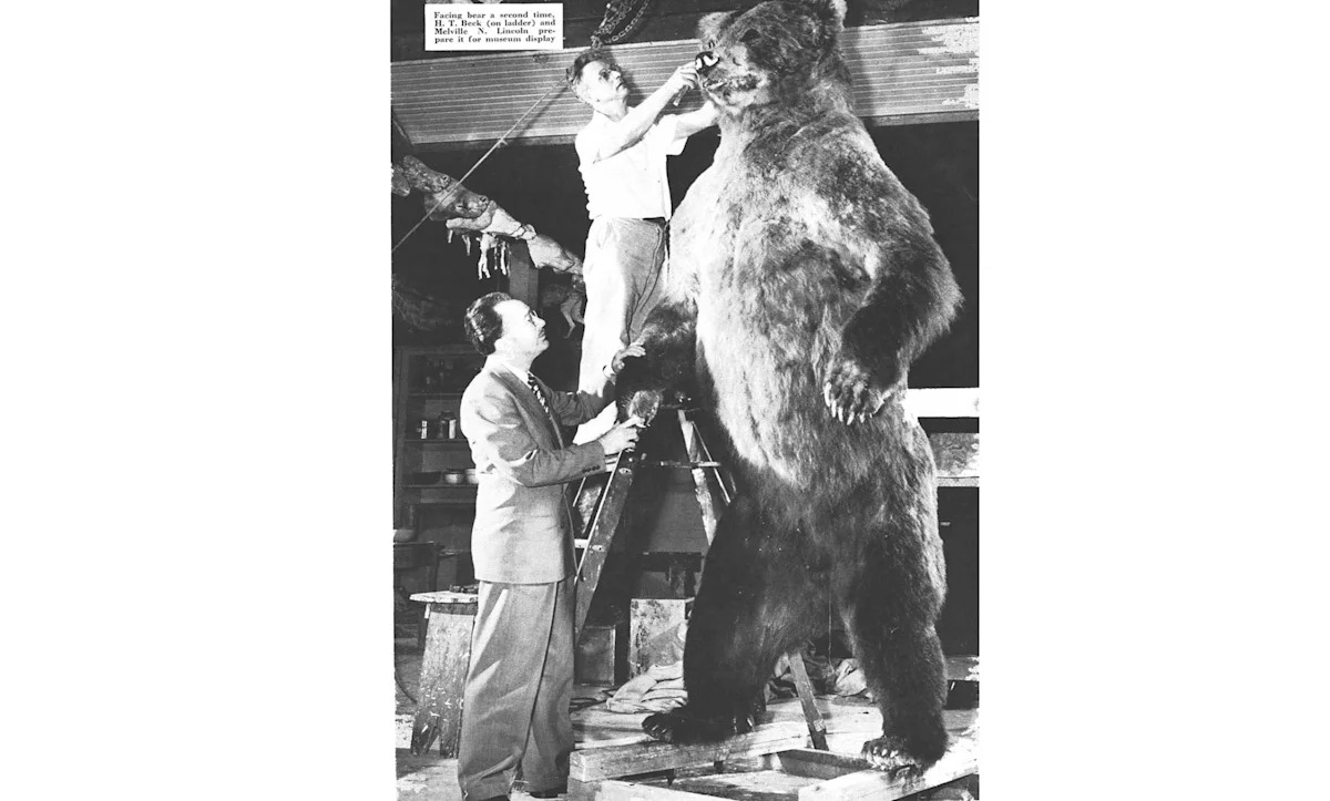 Museum Curators from Los Angeles Shot the Biggest Bear in the World