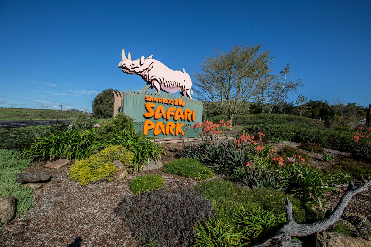 Rabid Bat Found at San Diego Zoo Restaurant Raises Public Health Concerns