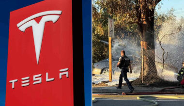 Driver Dies After Tesla Hits Pole and Bursts into Flames on California Roadway