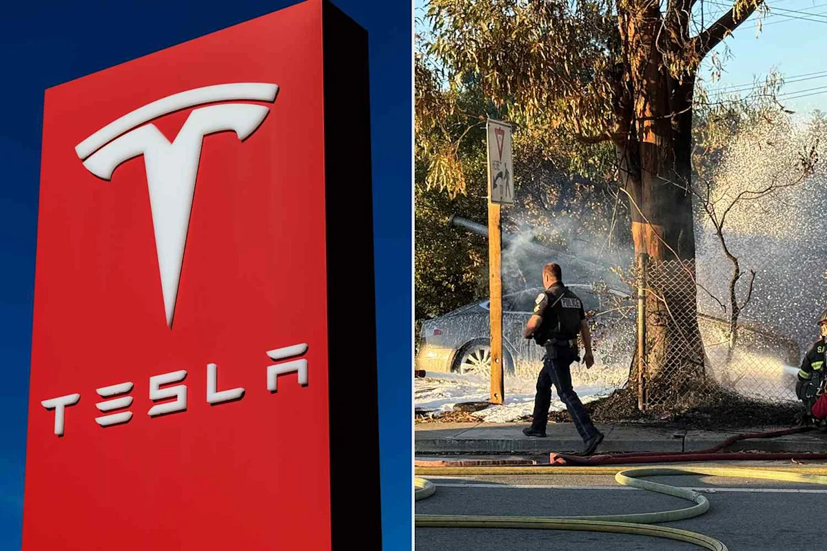 Driver Dies After Tesla Hits Pole and Bursts into Flames on California Roadway